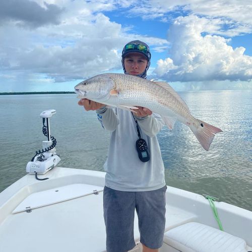 Florida Native Charters