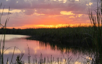 Things To Do In Everglades City 